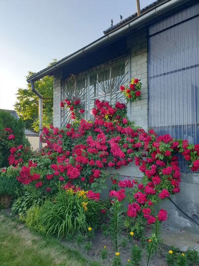 Дача 50 м² на участке 6 сот.