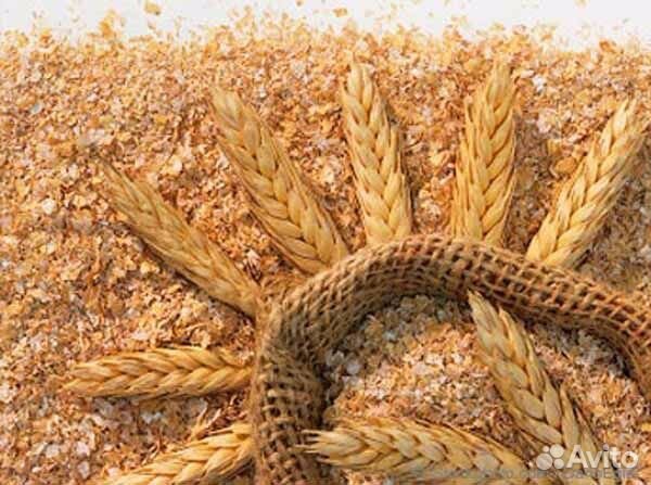 Отруби пшеничные, ячменные, гороховые в Незнамово