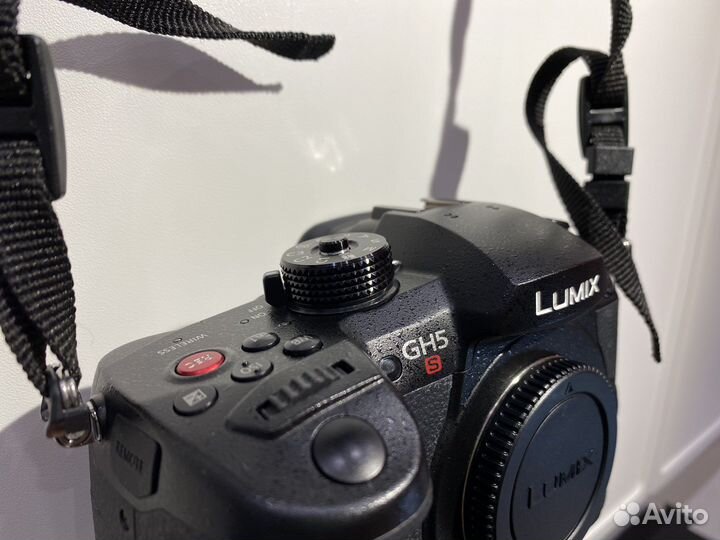 Panasonic gh5s body