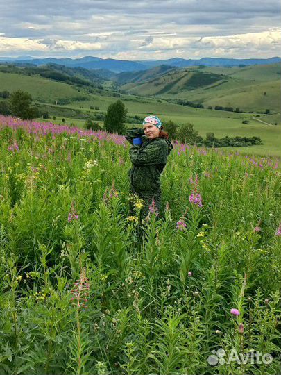 Иван-чай ферментированный
