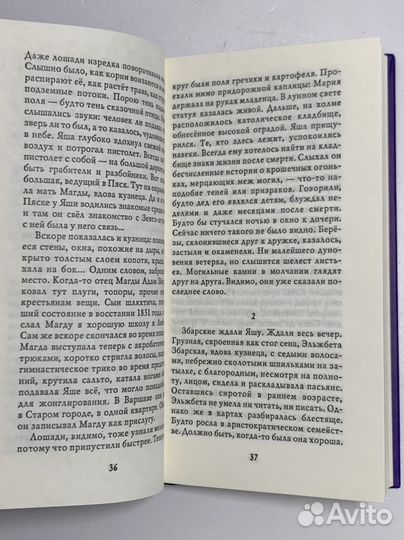 Фокусник из Люблина