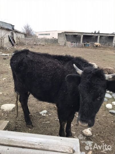 Продажа обмен на авто,мебель,ворота крс мрс