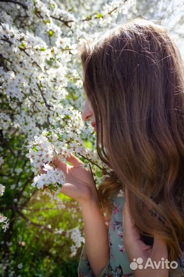 Услуги фотографа