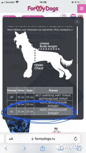 Зимний комбинезон для собак (мальчик)