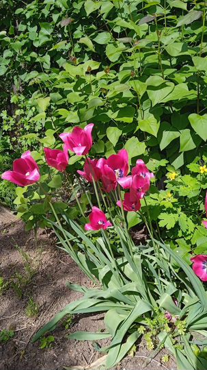 Дом 61,5 м² на участке 37,3 сот.