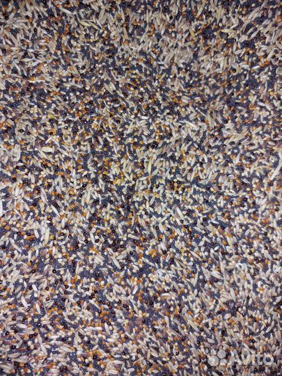 Корм для канареек