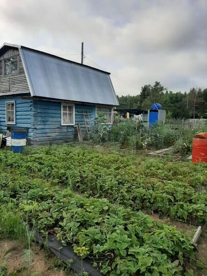 Дом 60 м² на участке 12 сот.