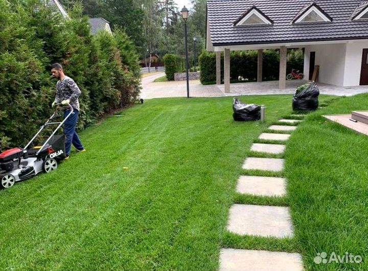 Рулонный газон