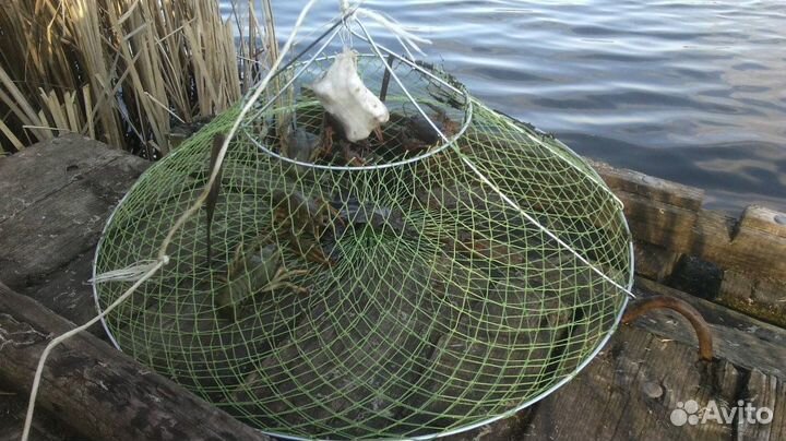 Раколовка чернильница классическая