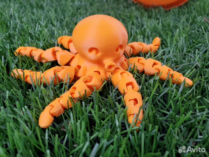 Осьминог подвижный