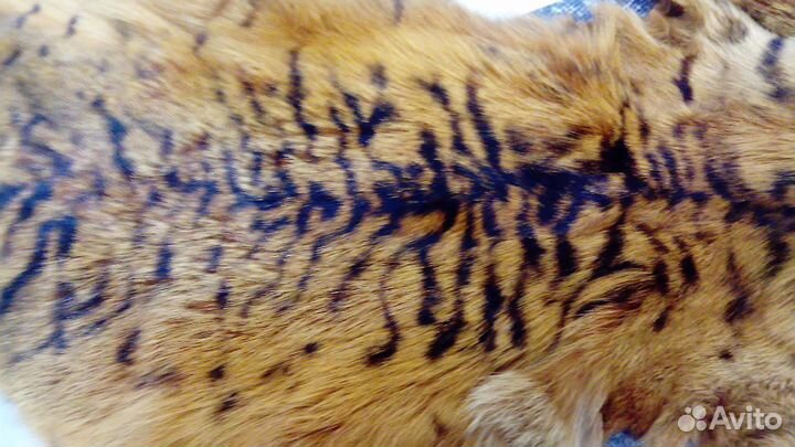 Шкурки лисы