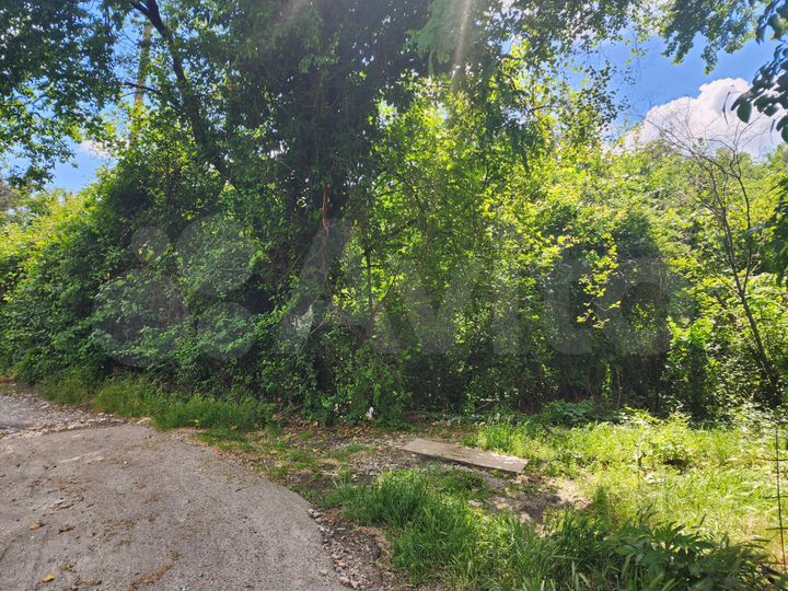 Участок 5,5 сот. (СНТ, ДНП)