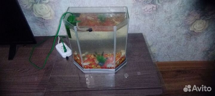 Аквариум