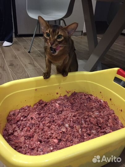 Мясорубка электрическая moulinex