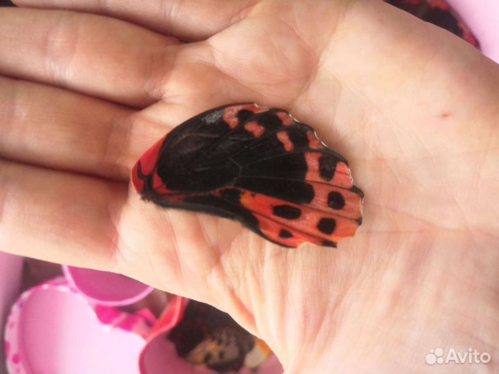 Крылья тропических бабочек эпоксидная смола