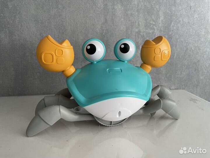 Танцующий краб