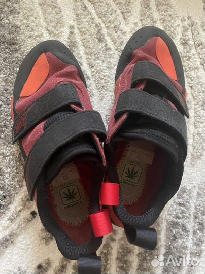 Скальные туфли