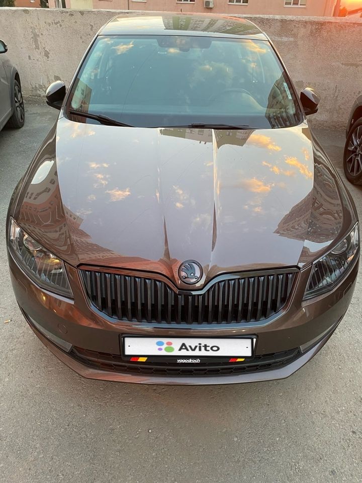 Skoda Octavia: фото владельца