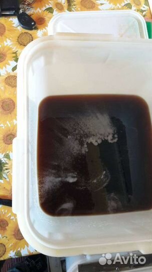 Мед гречишный 2023