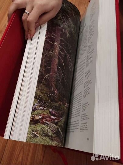 Книга Русская живопись