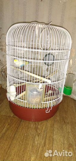 Клетка для попугая