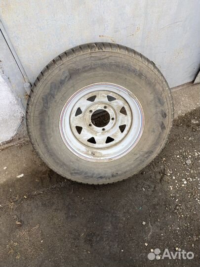 Nokian nordman 7