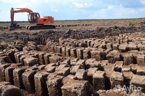 Торф низинный и верховой