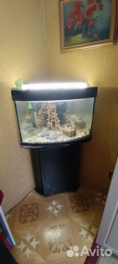 Аквариум с тумбой