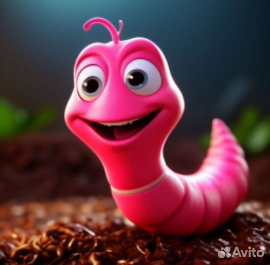 Калифорнийские черви для переработки навоза крс