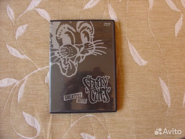 Stray cats DVD
