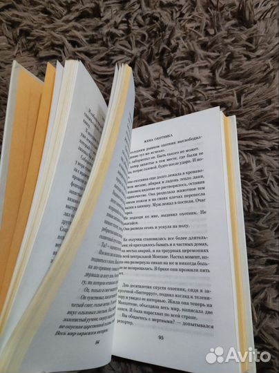 Энтони Дорр - Собиратель ракушек