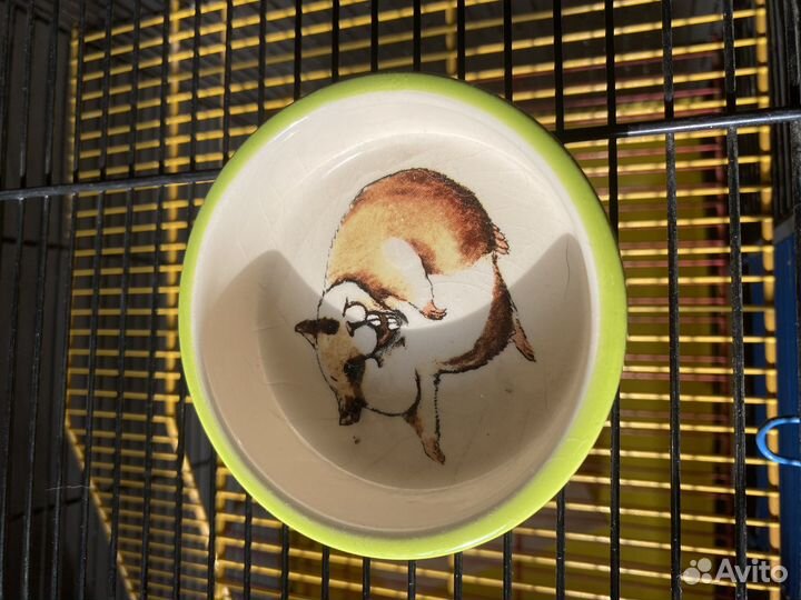 Клетка для грызунов + кормушка + поилка + домик