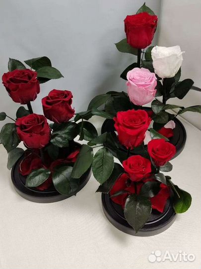 Роза в колбе оптом и в розницу
