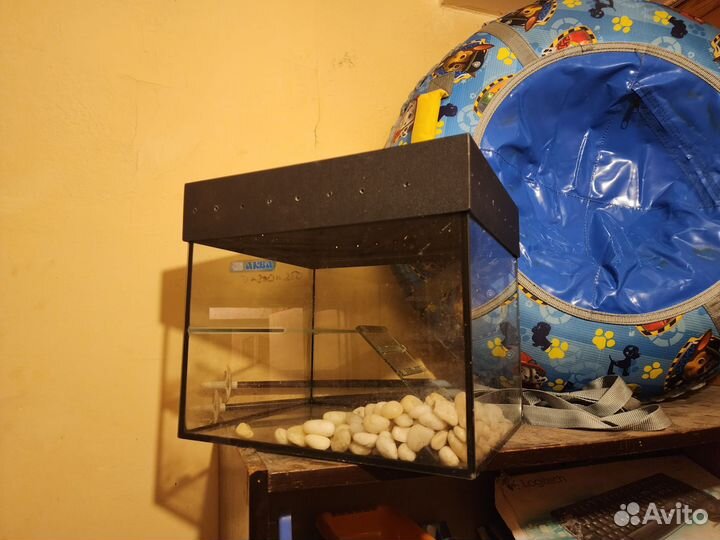 Террариум для черепахи