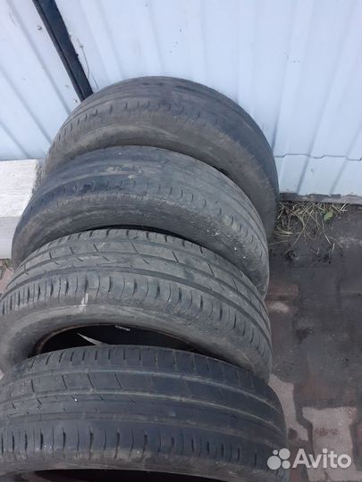 Accelera Gamma 4/5 R5