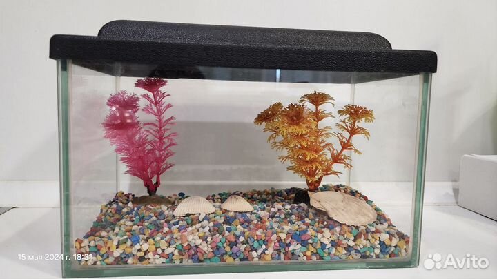 Аквариум