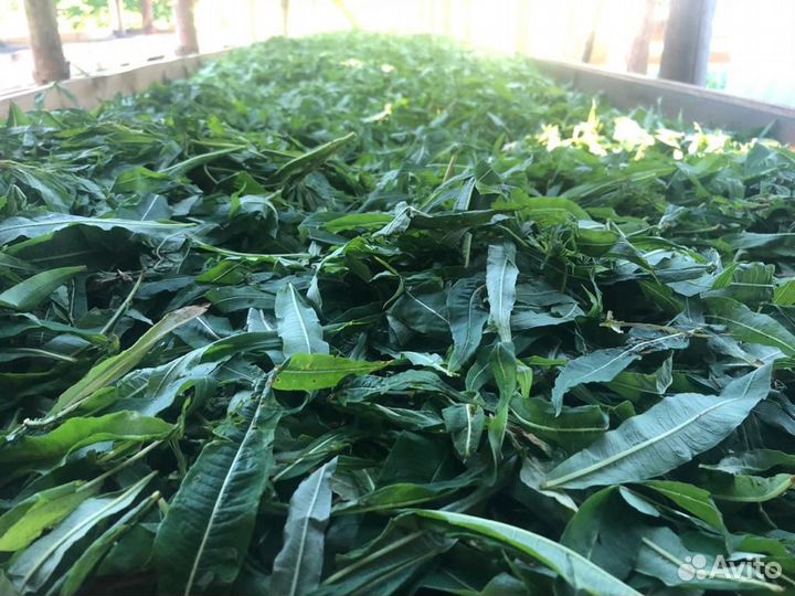 Иван-Чай ферментированный оптом. Сушка на дровах