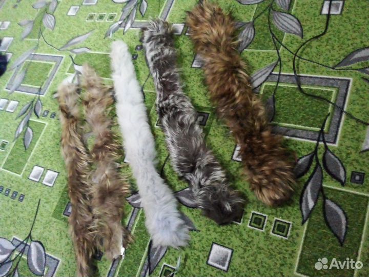 Шкурка животного