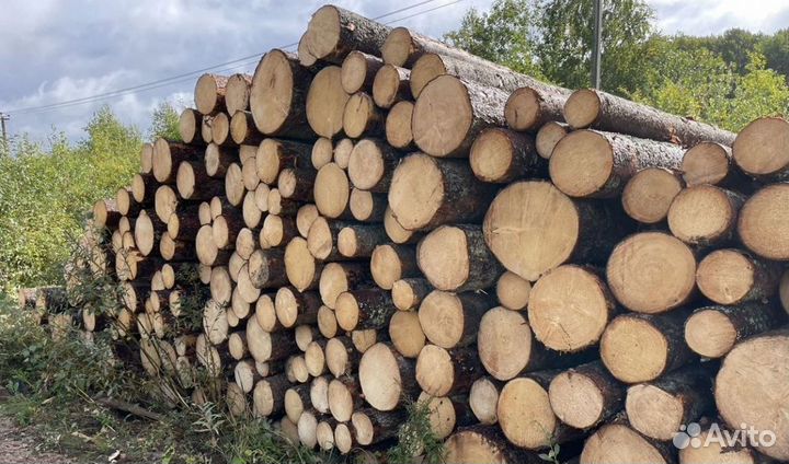 Лес круглый ель, сосна