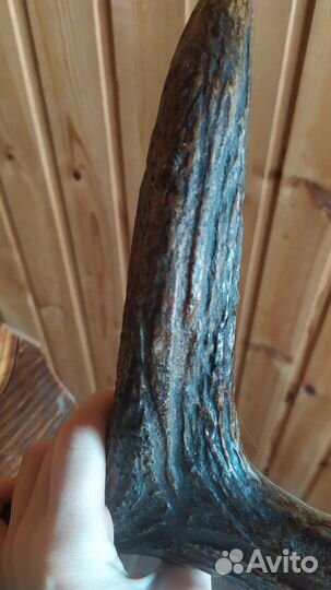 Рога на подставке