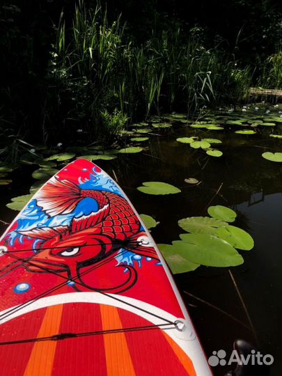 Сапборд, каяк аренда, Sup board, sup board KOI