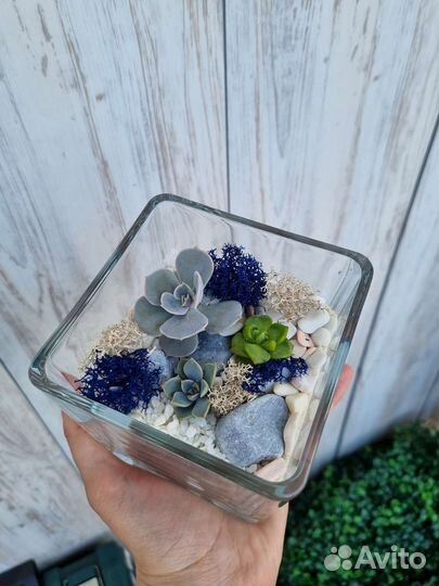 Флорариум комплемент