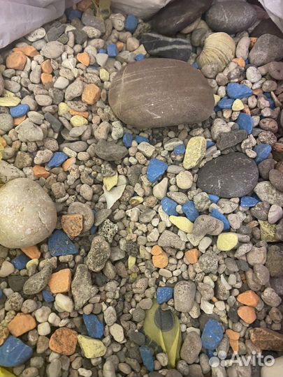 Для аквариума