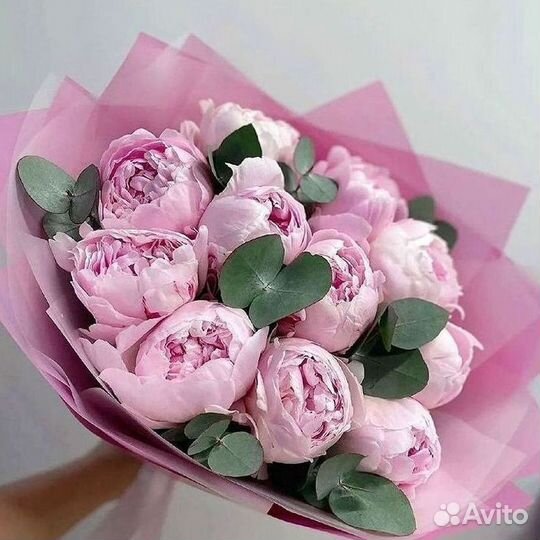 Пионы Букеты Цветы Доставка