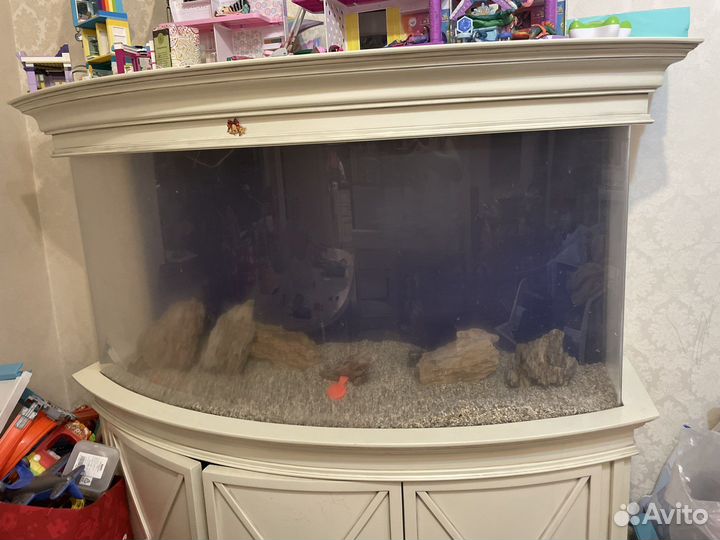 Панорамный Аквариум с тумбой 330л б/у Adp классика