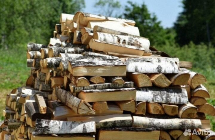 Дрова березовые