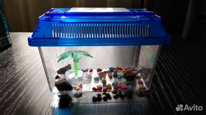 Контейнер для передержки аквариумных рыбок,черепах