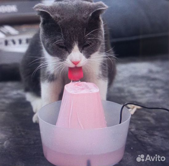 Поилка (фонтан )для кошек
