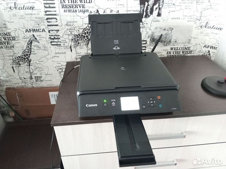 Мфу Canon TS 5040