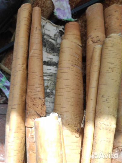 Береста сухая чистая